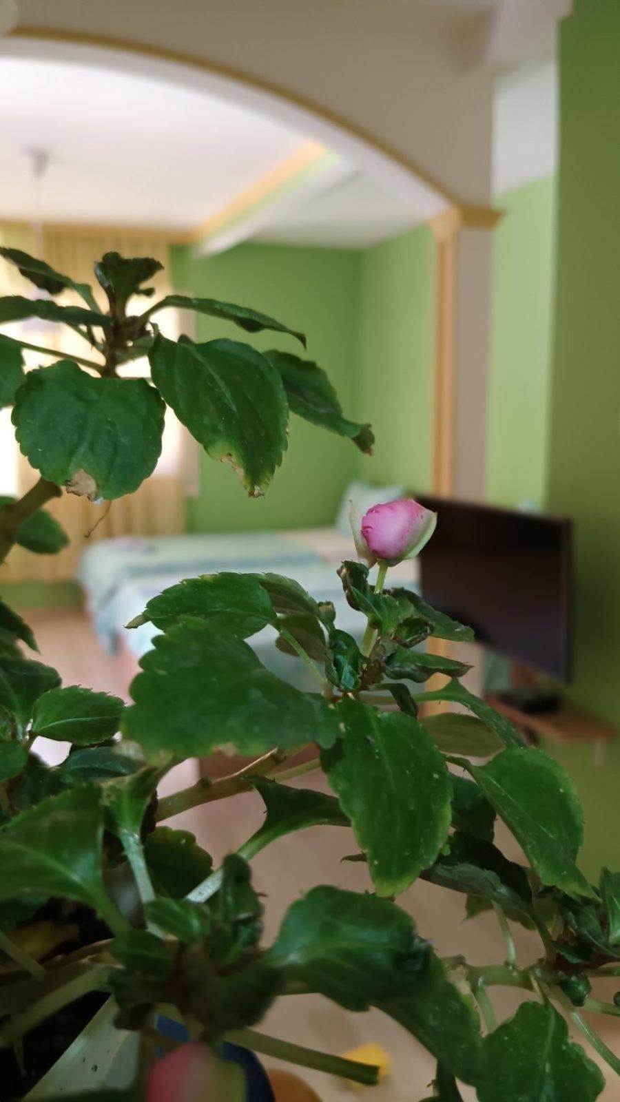 Villa Re3Ca Skopje Zewnętrze zdjęcie