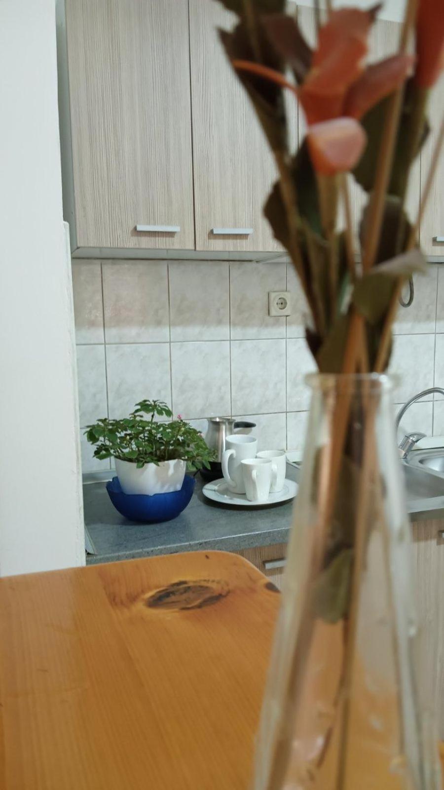 Villa Re3Ca Skopje Zewnętrze zdjęcie
